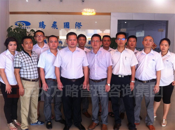 東莞騰飛內衣模杯有限公司“供應鏈”項目案例